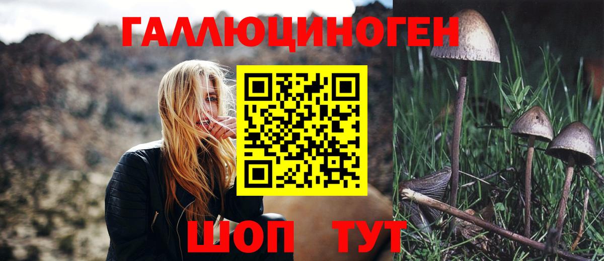 Псилоцибиновые грибы Magic Shrooms  Вход с VPN  Великий Новгород  Псилоцибиновые грибы Psilocybe 