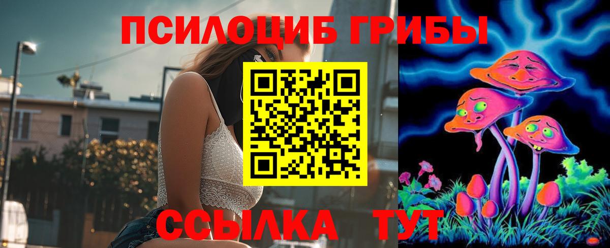 Галлюциногенные грибы Magic Shrooms Великий Новгород